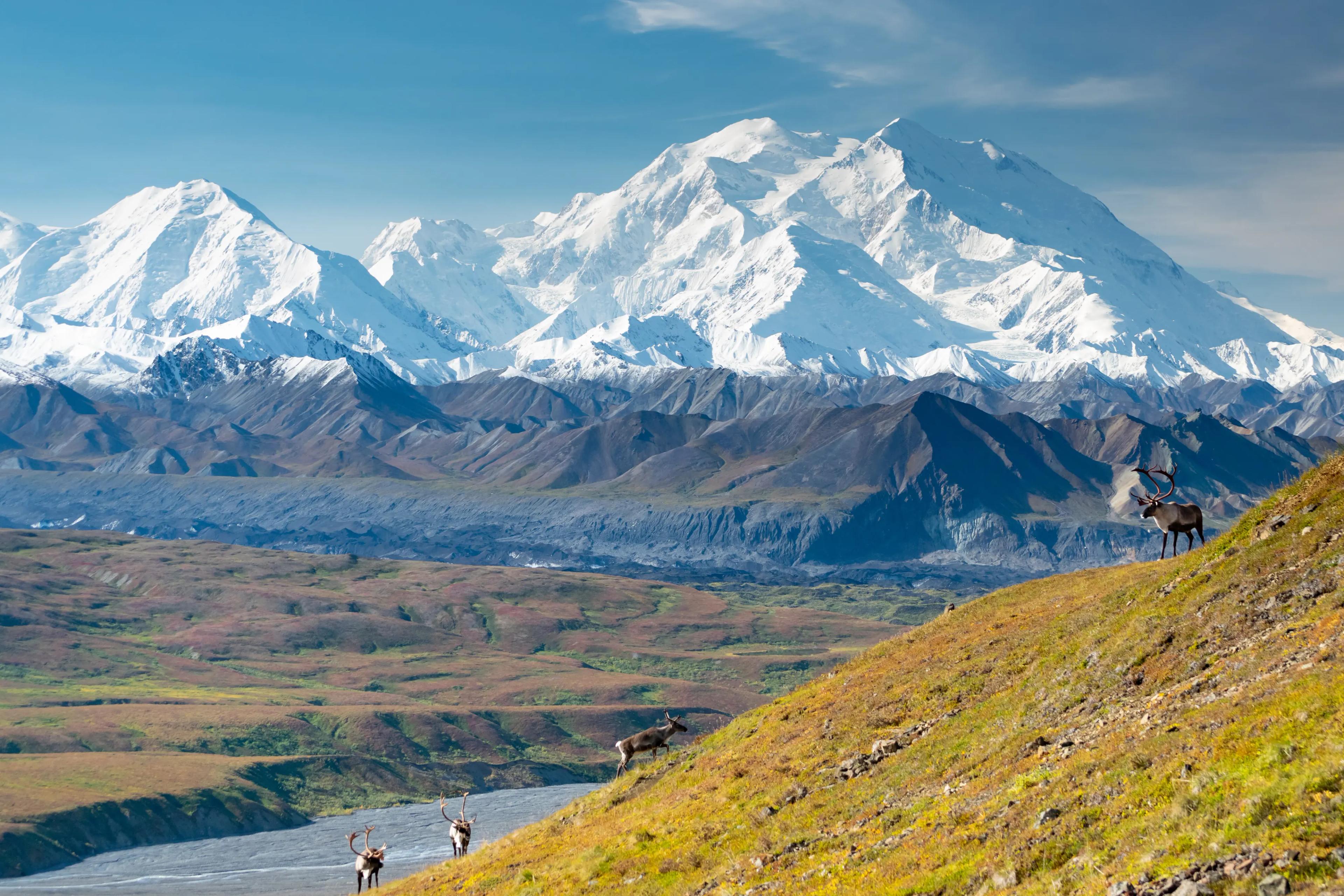 Mount Denali Alaska USA