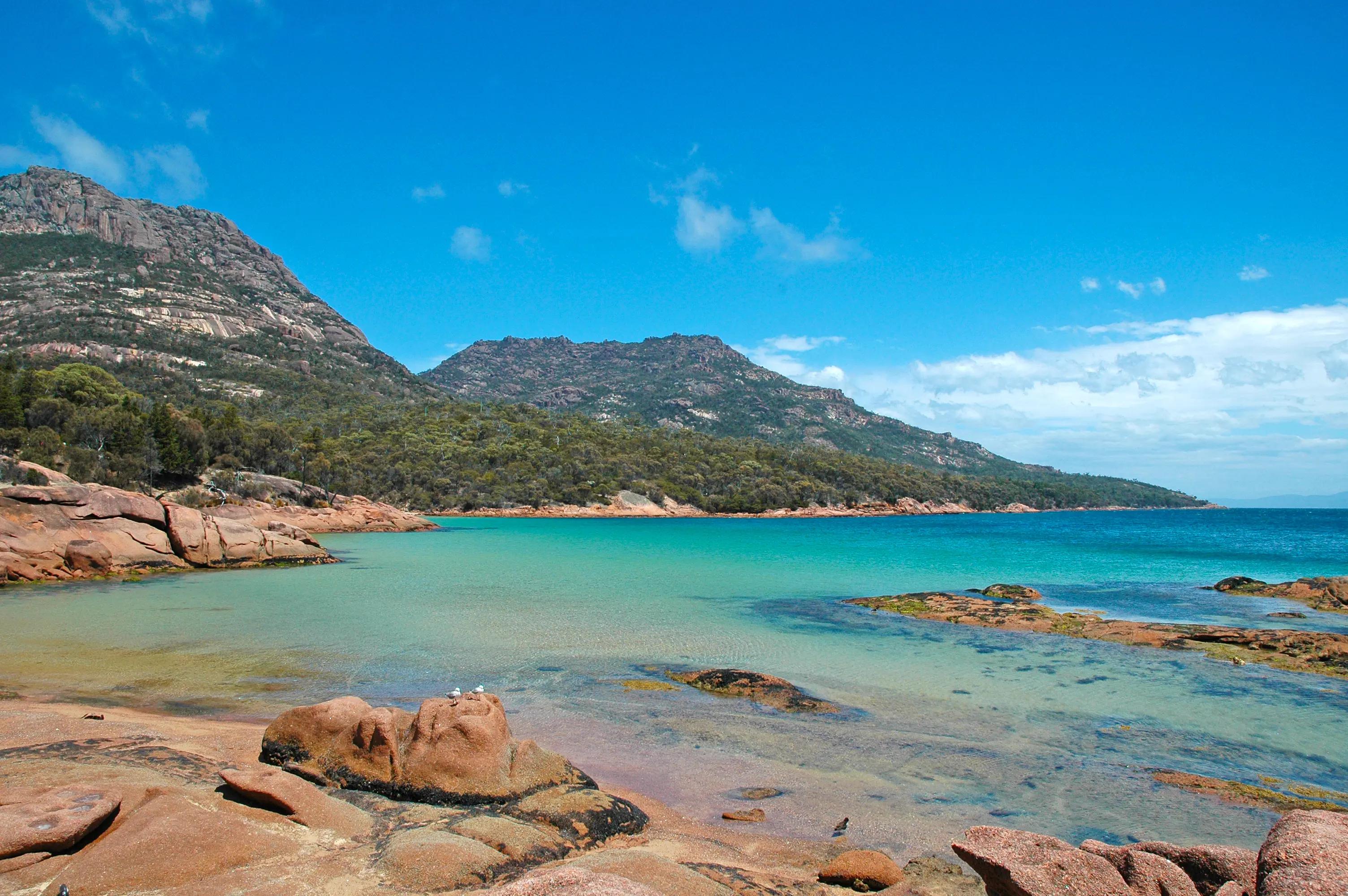 Tasmanien Kyst Natur