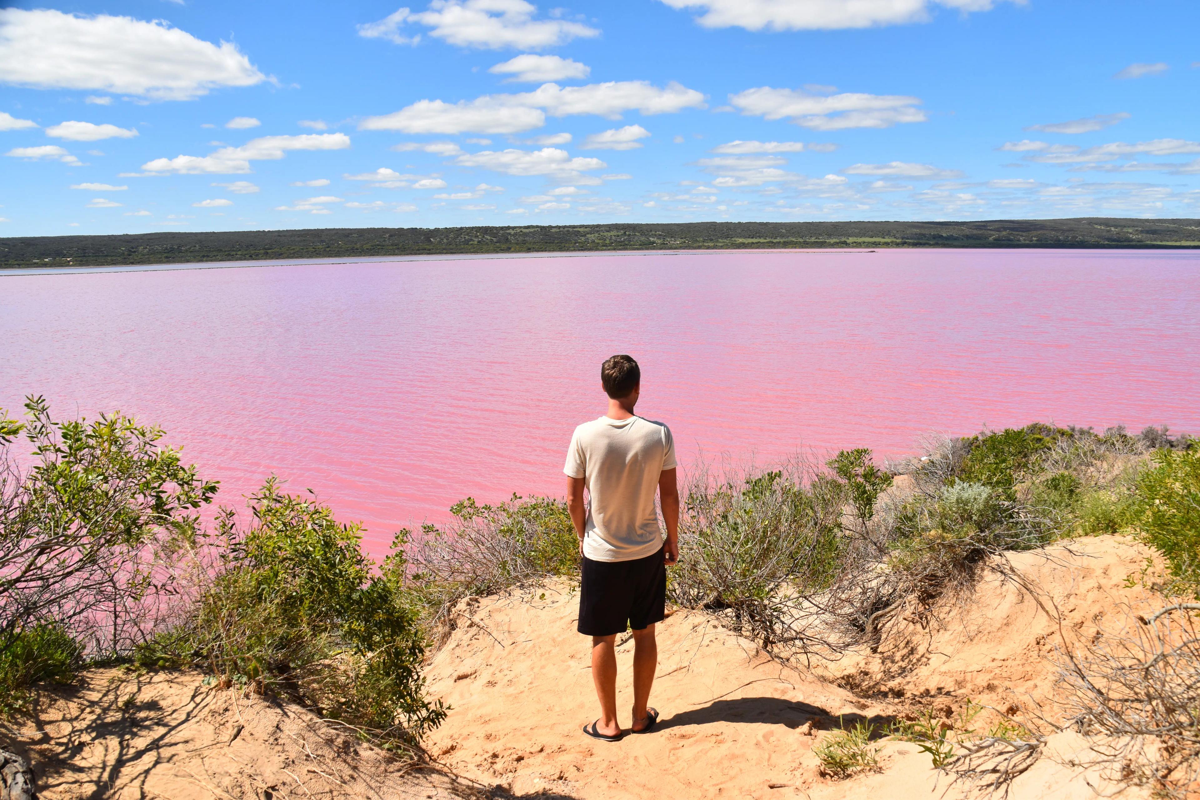 Australien Coral Coast Pink Hutt Lake Port Gregory