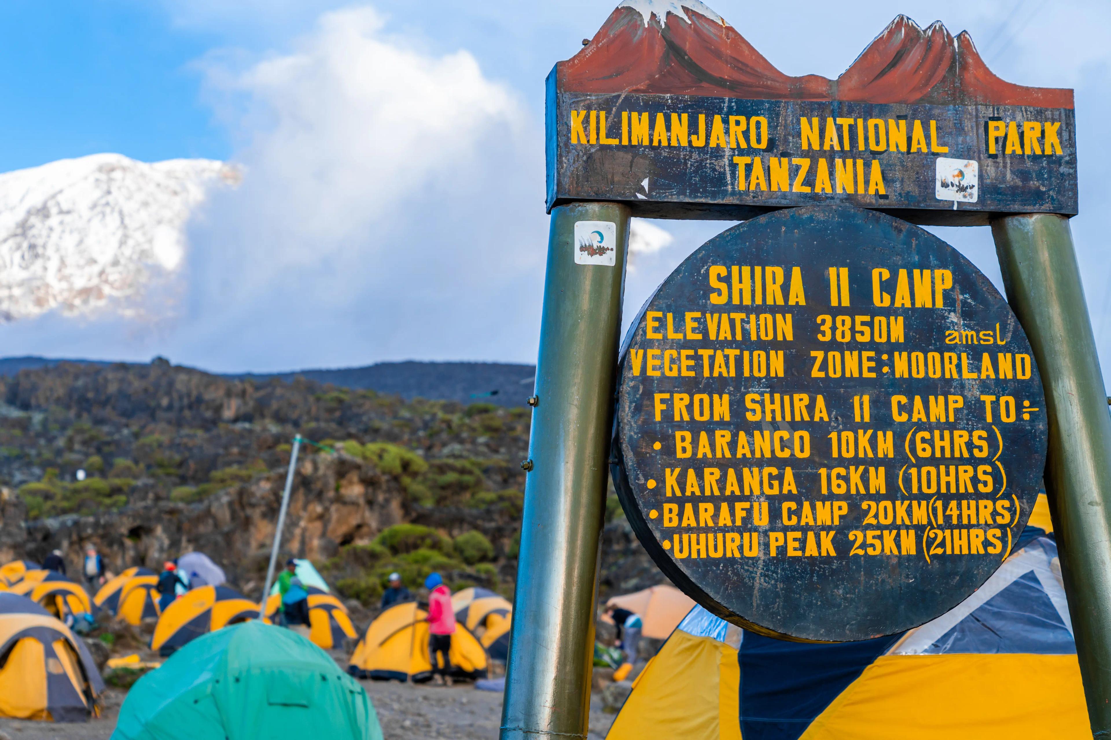 Lemosho ruten på Kilimanjaro i Tanzania