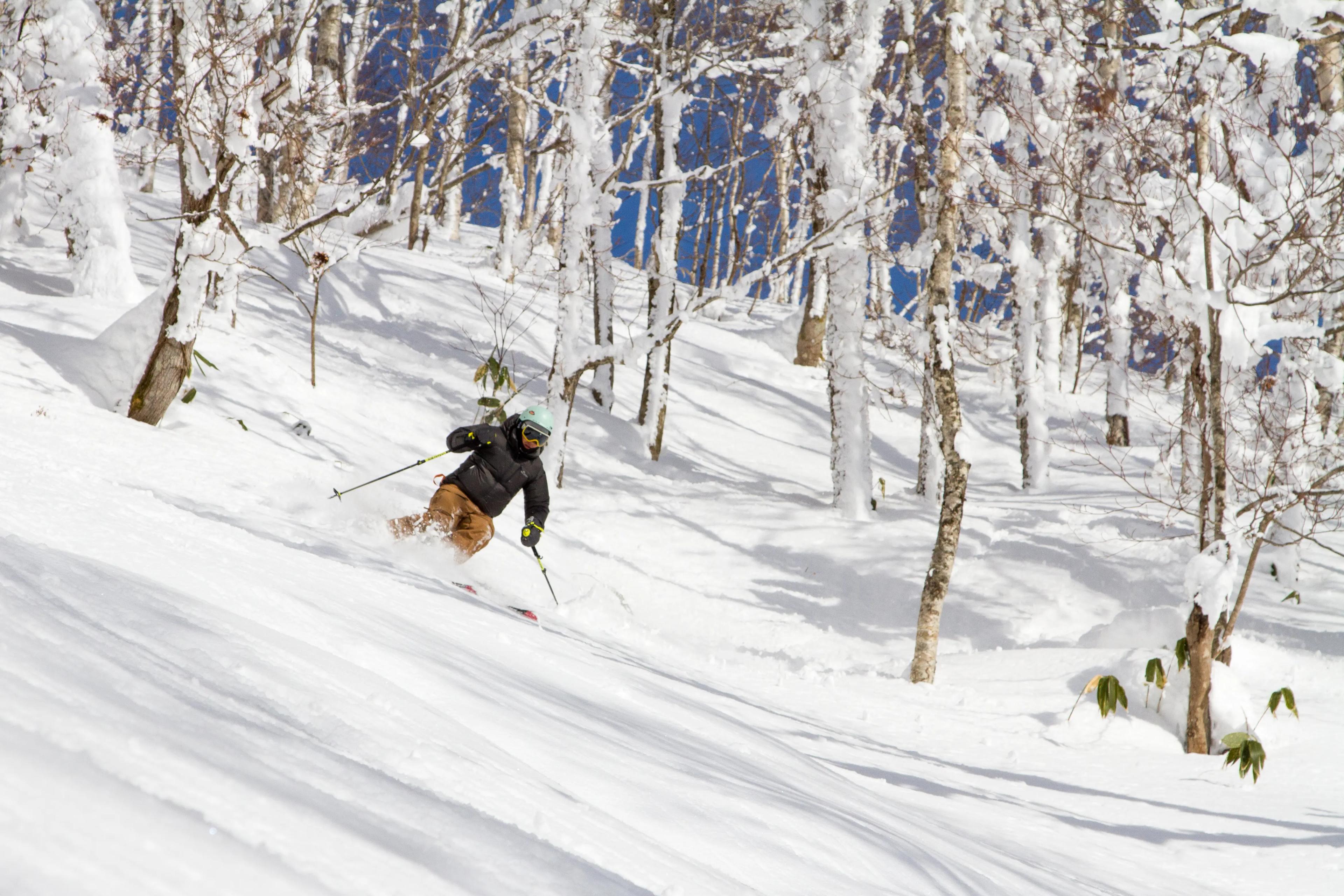 Powder ski på Hokkaido i Japan
