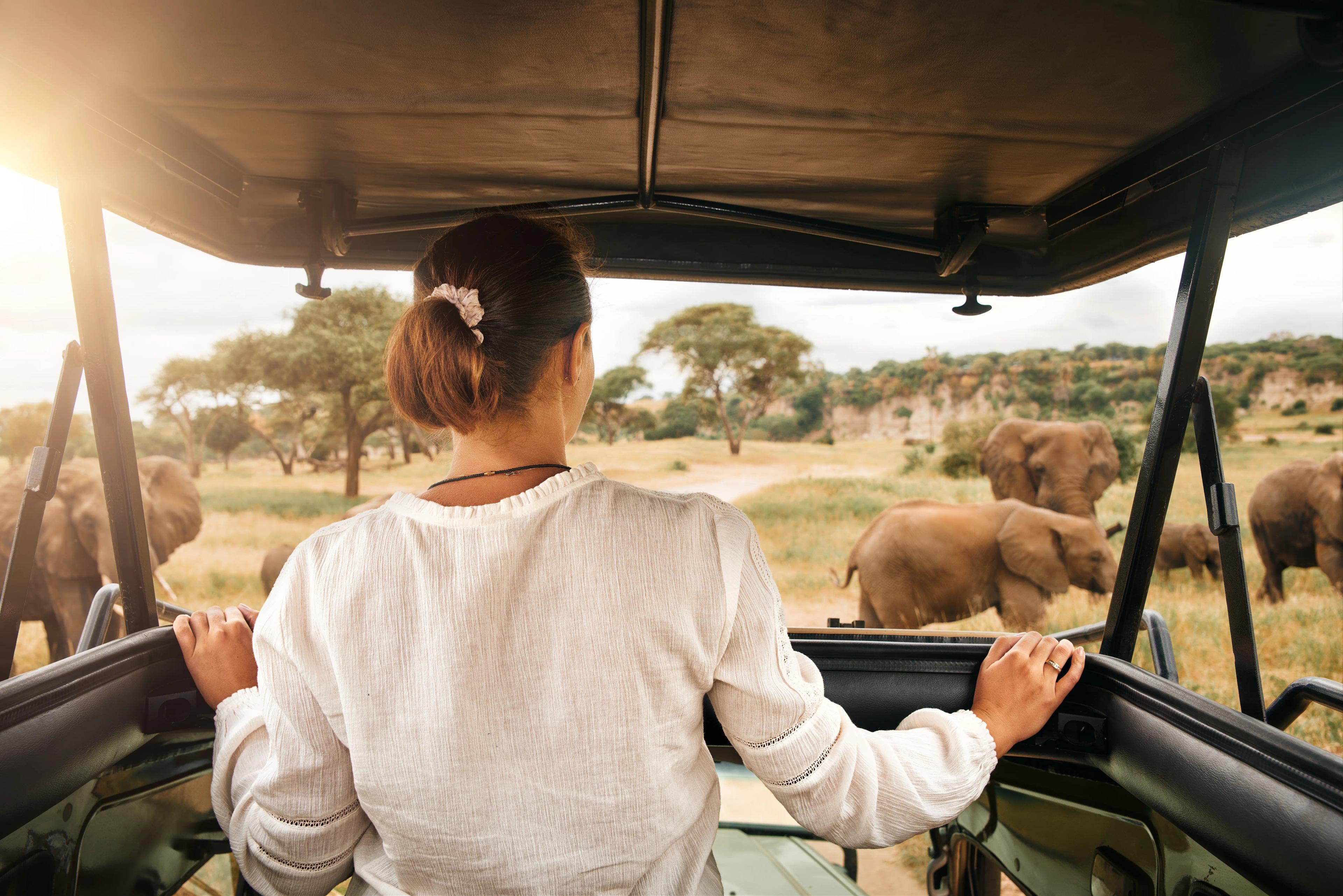 Safari i Tanzania