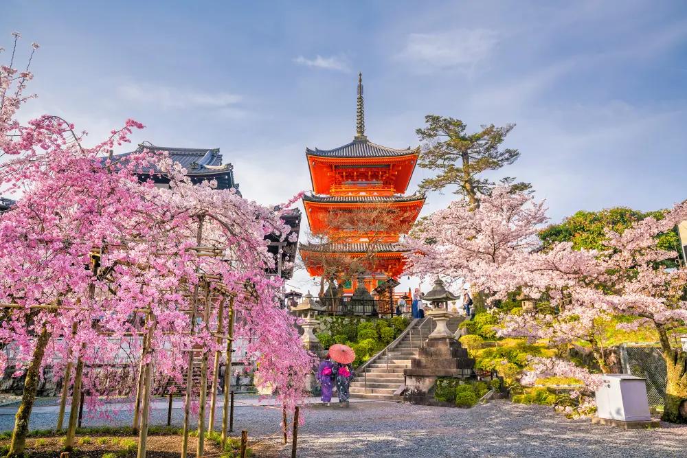 Forår i Japan - Kiyomizu-dera Temple i Kyoto