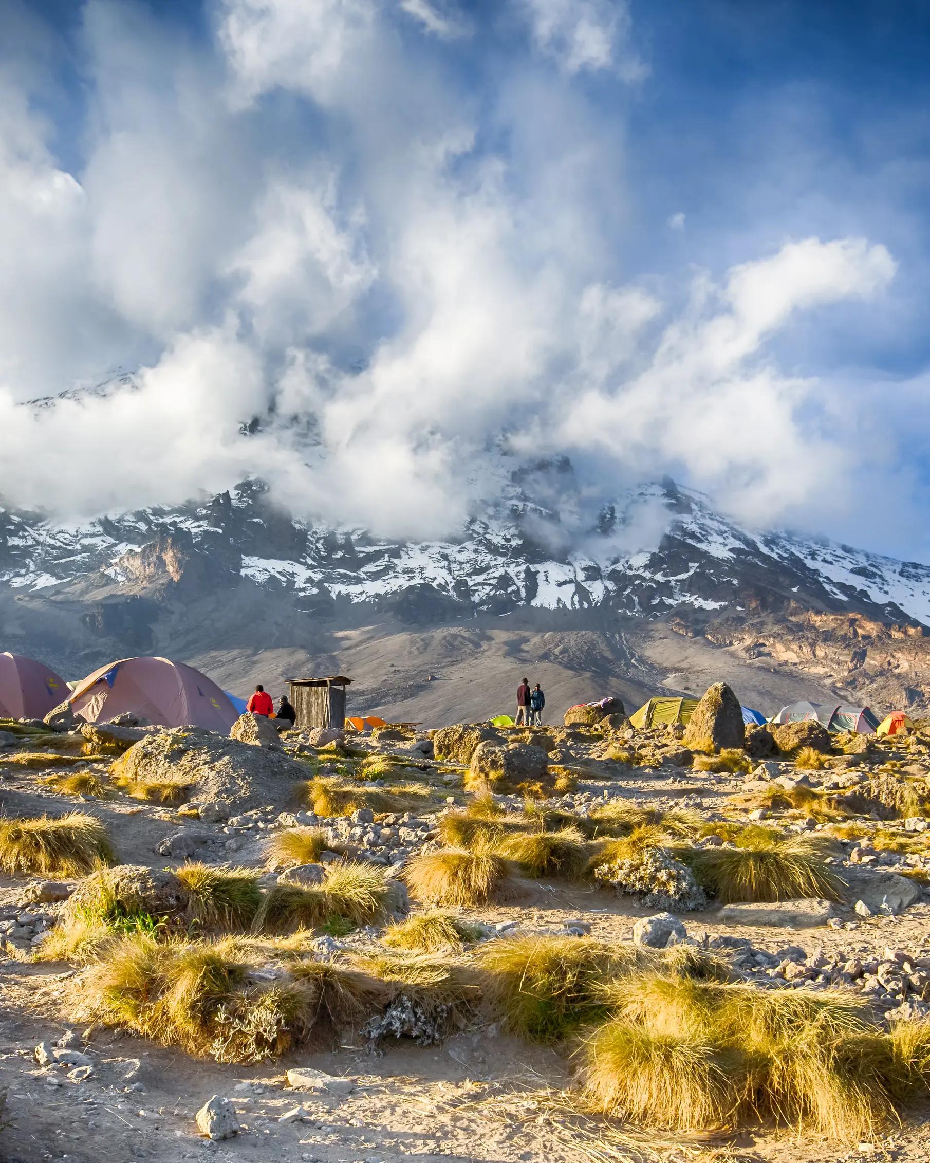 Bestig Kilimanjaro i Tanzania ad Machame ruten
