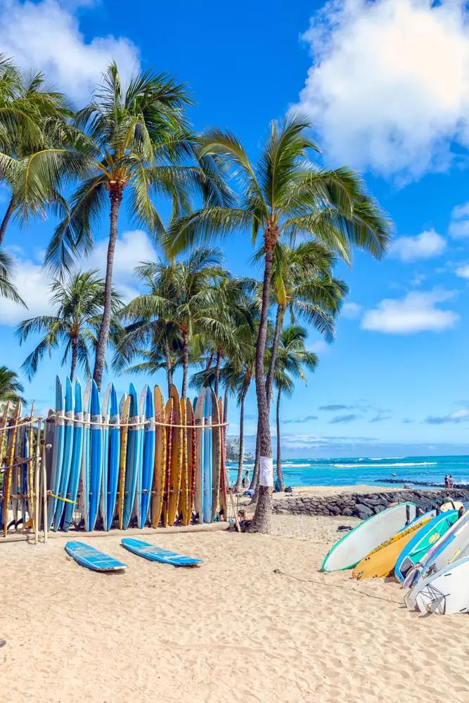Strand med surfboards på Hawaii