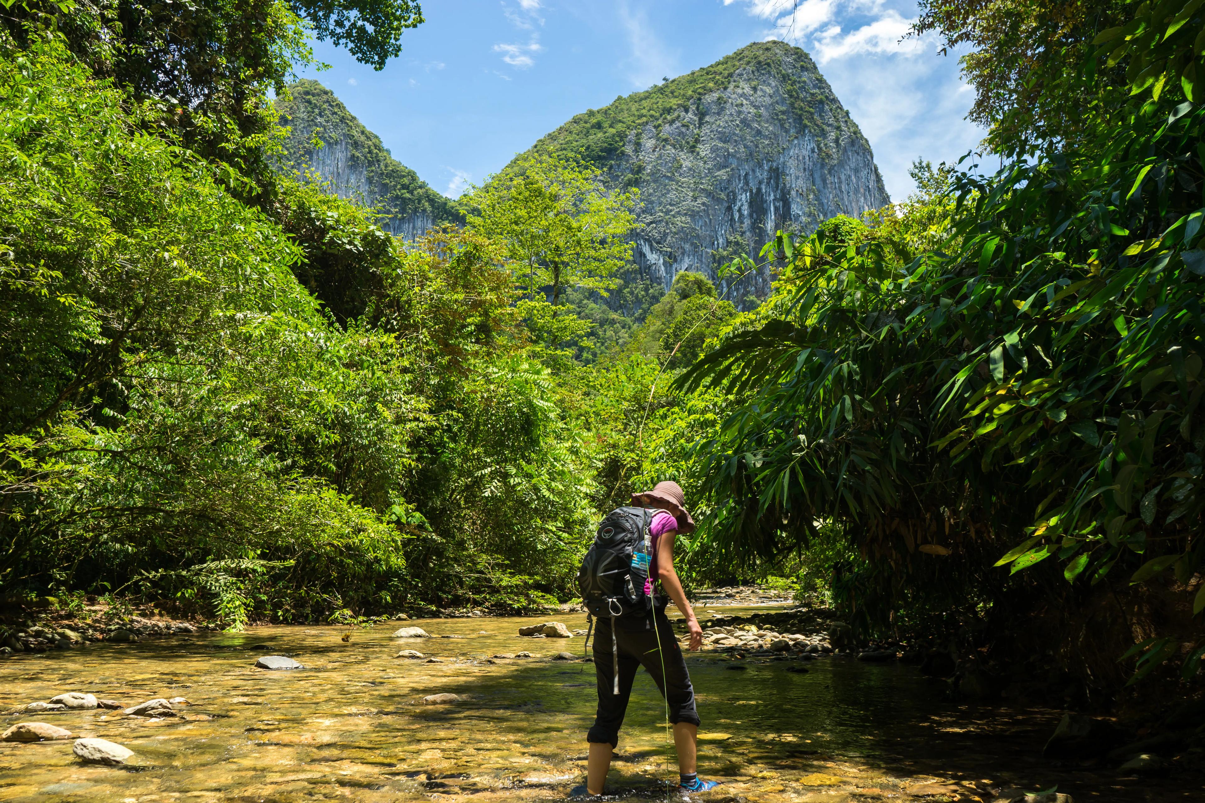 Borneo trekking Malaysia