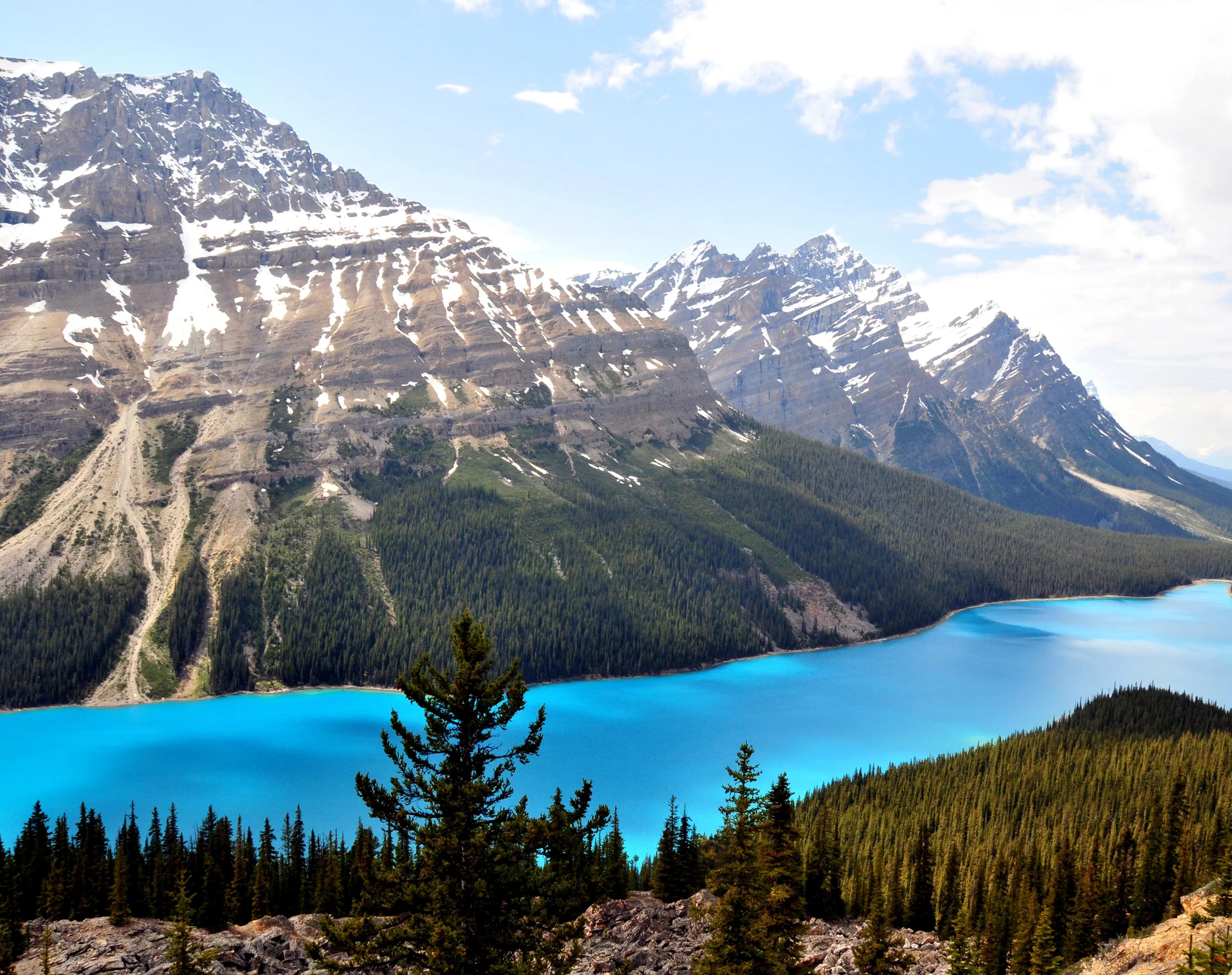 Canada Peyto Lake The Rockies
