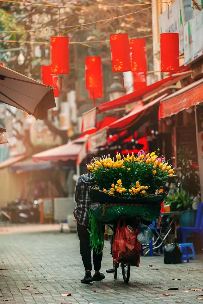 Blomster på en cykel i Hoi An, Vietnam