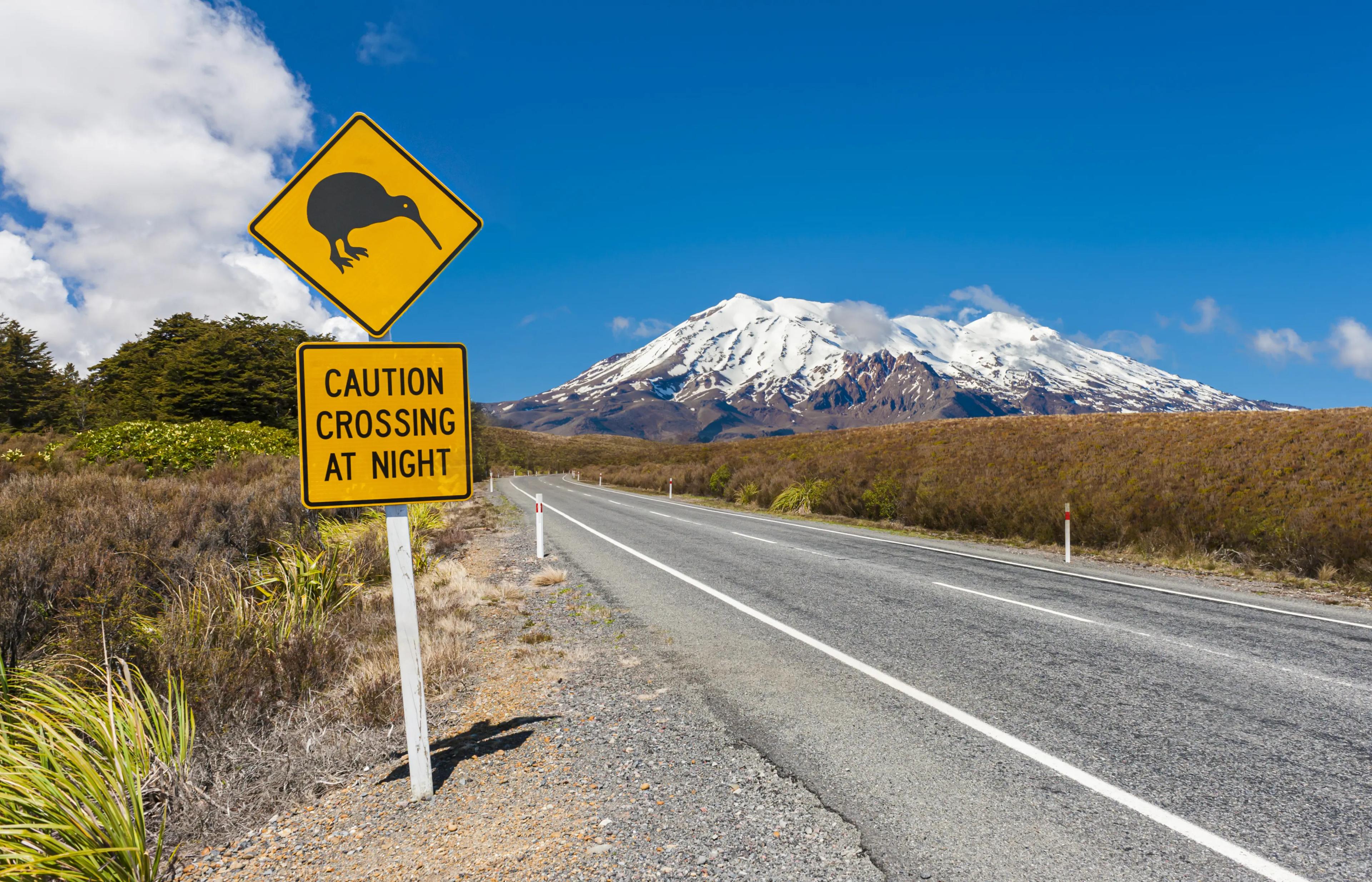 Vej i Tongariro New Zealand