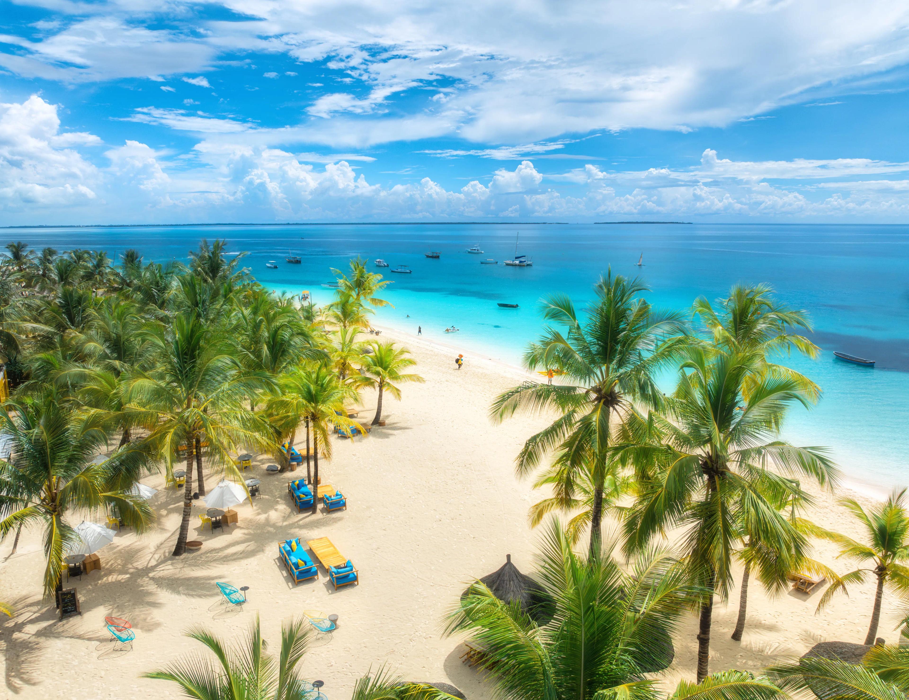 Strand og palmer på Zanzibar Tanzania