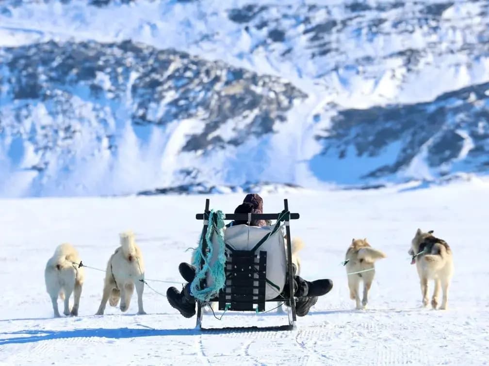 Hundeslæde Ilulissat