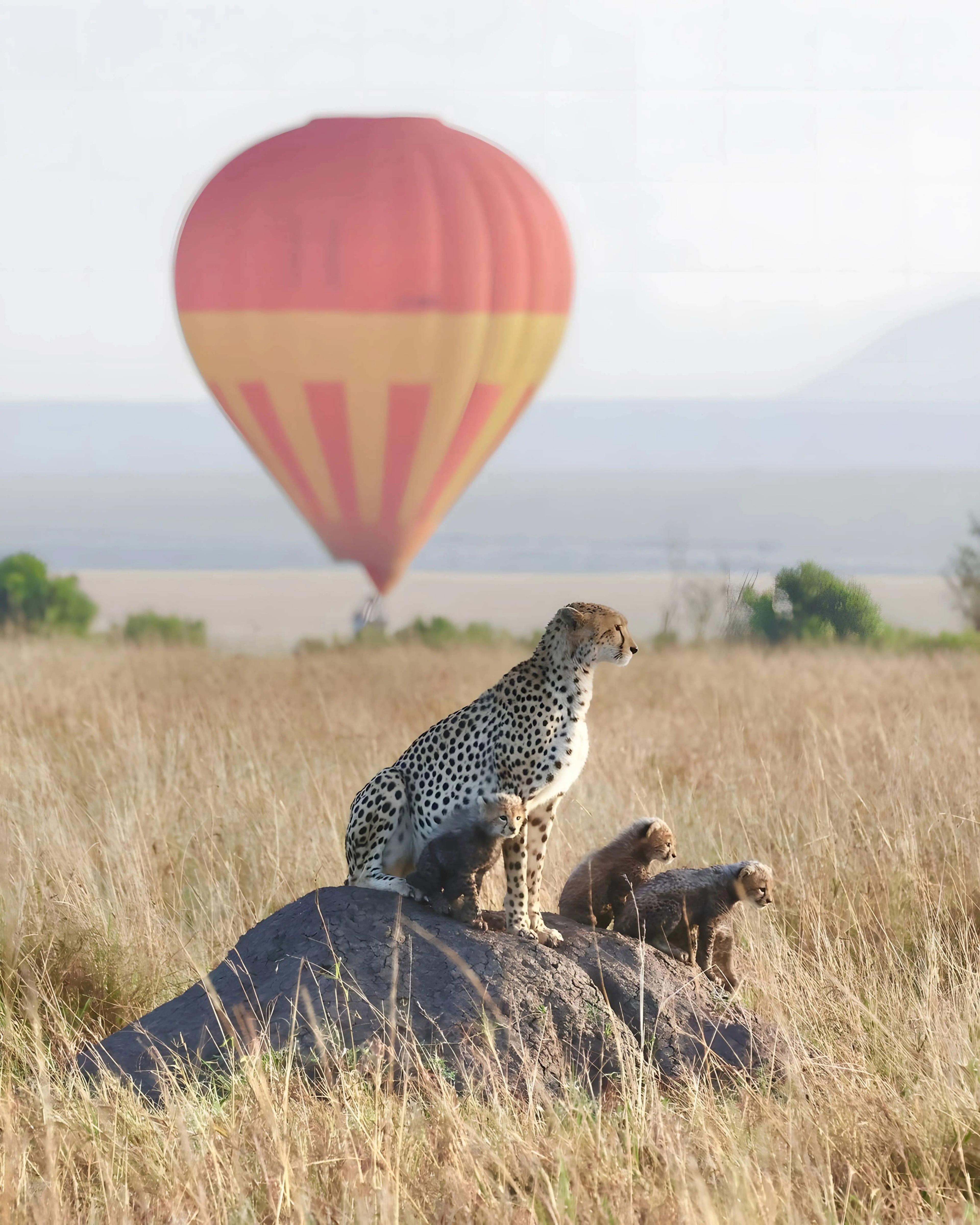 Ballonsafari Tanzania