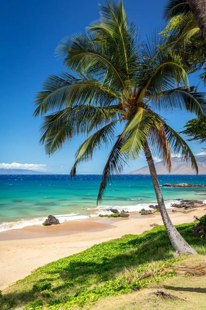 Hawaii Beach