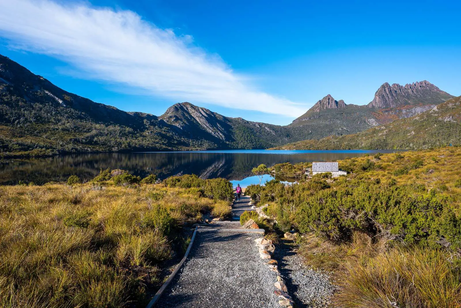 Natur ved Dove Lake og Cradle Mountain i Tasmanien, Australien