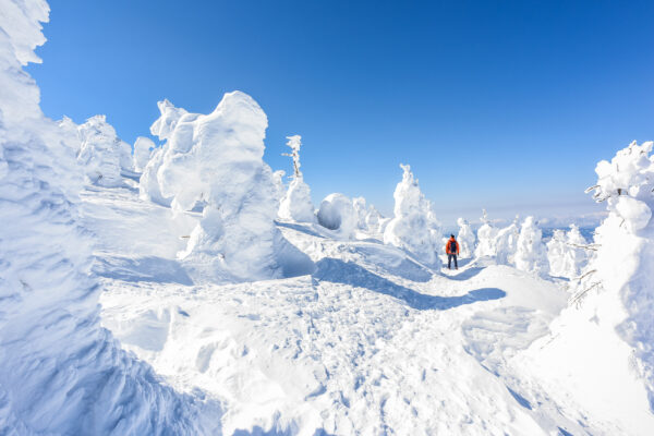 Ski i Japan