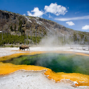 naturoplevelser i USA_Yellowstone