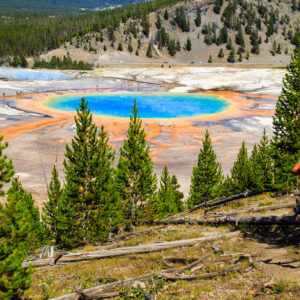 naturoplevelser i USA_Yellowstone