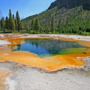 naturoplevelser i USA_Yellowstone