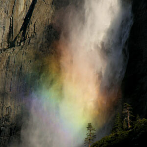 naturoplevelser i USA_Bryce_Canyon_Yosemite_nationalpark