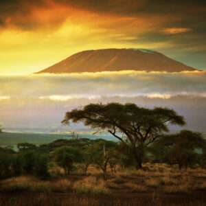 Kilimanjaro