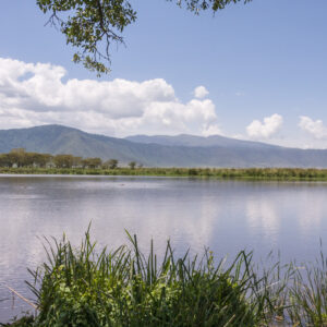 Ngorongoro