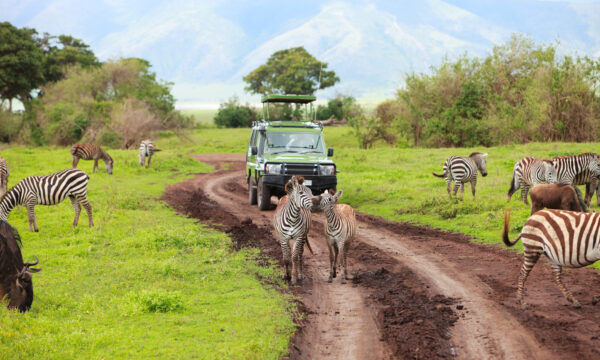 Safari i Tanzania