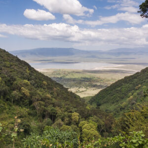 Ngorongoro