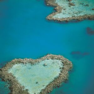 dykning_og_snorkling_australien