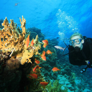 dykning_og_snorkling_thailand