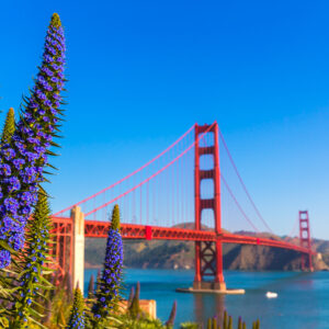 San Francisco