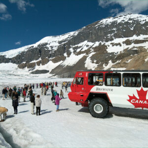 seværdigheder i canada Athabasca Glacier