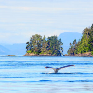 seværdigheder i canada vancouver island
