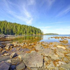seværdigheder i canada vancouver island