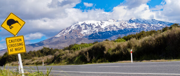 billeje i new zealand
