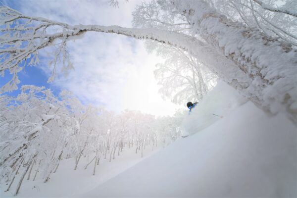 Japan skiferie skirejse powder-ekspert