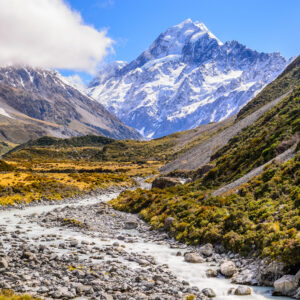 julerejse new zealand