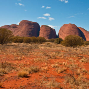 julerejse australien