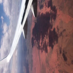 Flyvinge