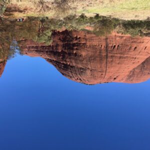 Den australske natur