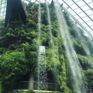 Singapore stop over Gardens by the Bay