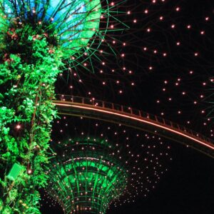 Singapore stop over Gardens by the Bay