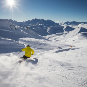 flyv på skiferie