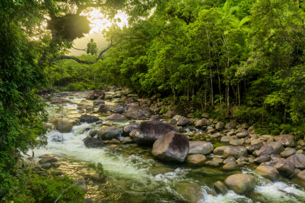 Mossman Gorge