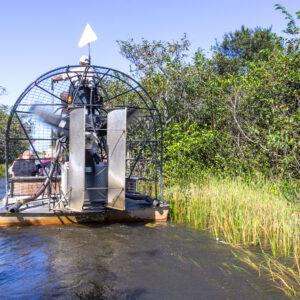 Everglades Nationalparken i Florida