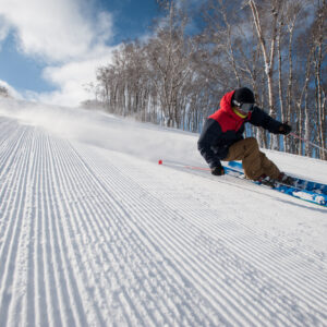 Bravo Ski