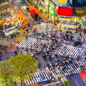 Tokyo. Shibuya fodgængerovergang.
