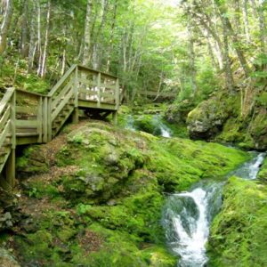 Fundy Nationalpark, østlige Canada