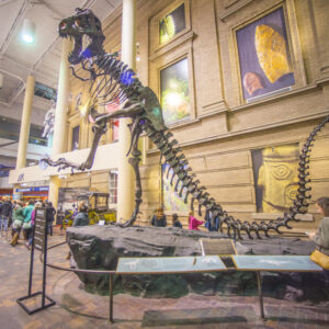 Denver museum